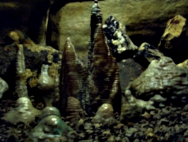 [picture: Blue John Mine 19: stalagmites]