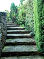 [Picture: Winding stone stairs in the garden 2]