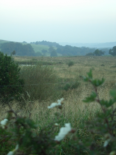 [Picture: Over the fence to the hill]