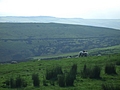 [Picture: Panorama - Sheep-covered hills: 28]