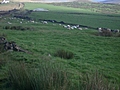 [Picture: Panorama - Sheep-covered hills: 37]