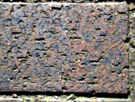 [picture: Brick texture]