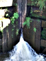 [picture: Canal lock gates for panorama: 4]