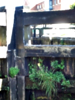 [picture: Canal lock gates for panorama: 10]