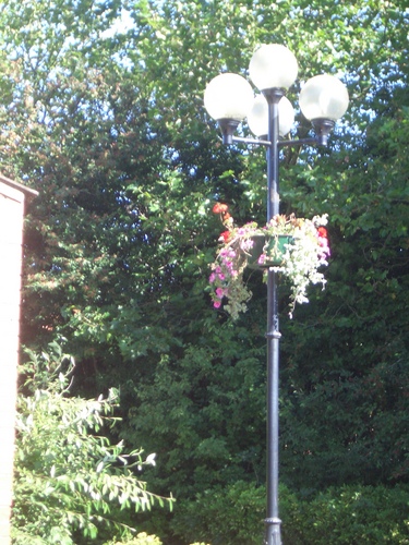 [Picture: Lamp-post with flowers]