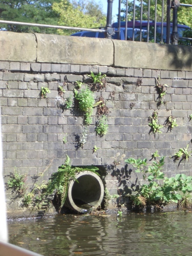 [Picture: Storm drain]