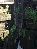 [Picture: Canal lock gates for panorama: 3]