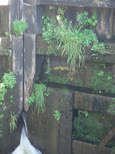 [Picture: Canal lock gates for panorama: 8]