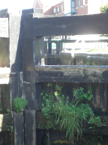 [Picture: Canal lock gates for panorama: 10]