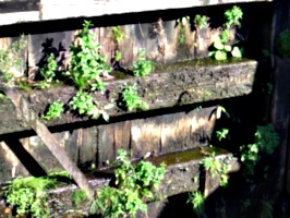 [Picture: Canal lock gates for panorama: 17]