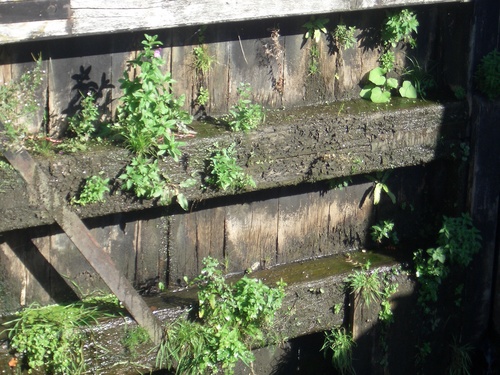 [Picture: Canal lock gates for panorama: 17]