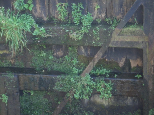 [Picture: Canal lock gates for panorama: 18]