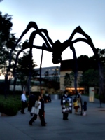 [picture: Rippongi Spider 1]