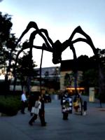 [picture: Rippongi Spider 2]