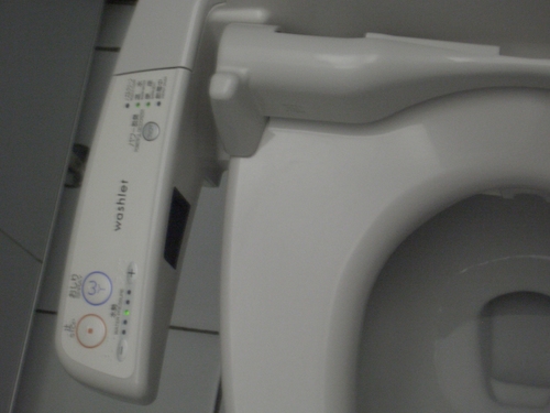 [Picture: Japanese Toilet Seat 1]