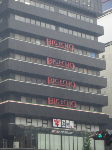 [Picture: Big Echo 1]