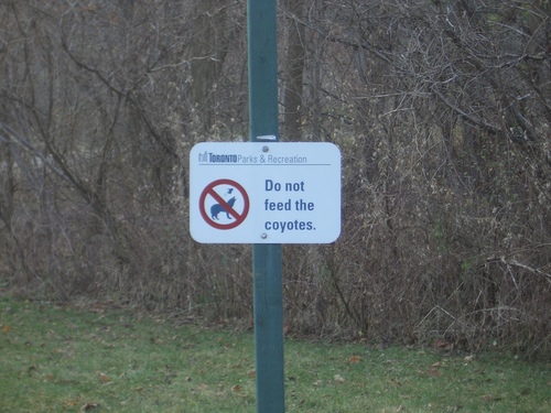 [Picture: Do not feed the coyotes 2]