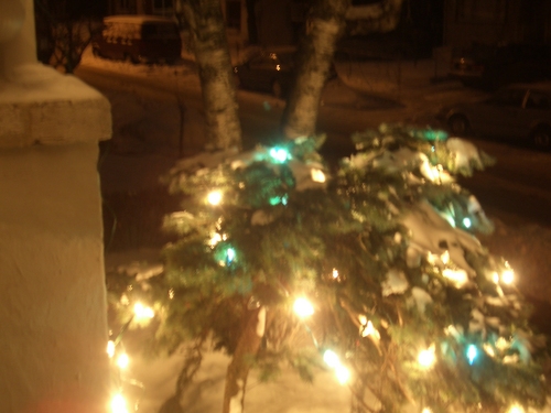 [Picture: Snow on the tree]