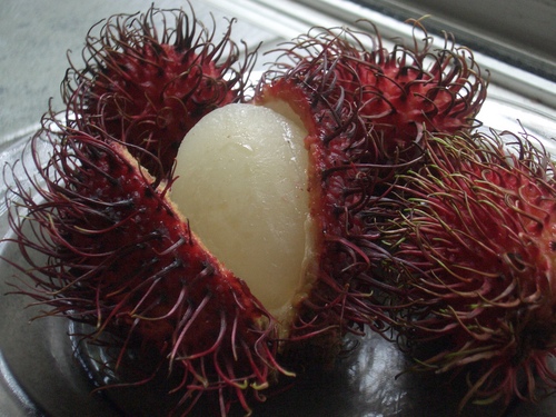 [Picture: Rambutan Fruit 2]