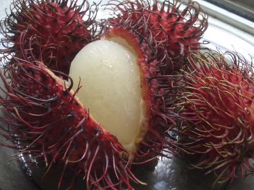 [Picture: Rambutan Fruit 3]