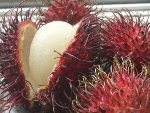 [Picture: Rambutan Fruit 4]