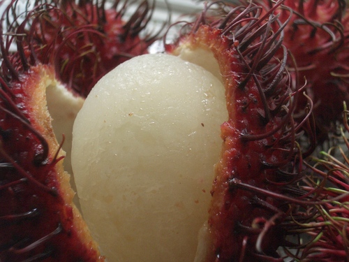 [Picture: Rambutan Fruit 5]