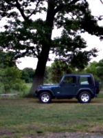 [picture: Jeep and Tree]