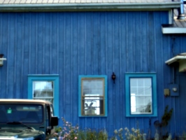 [picture: Blue house 2]