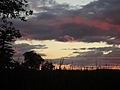 [Picture: Lake Ontario Reeds at Sunset 4]
