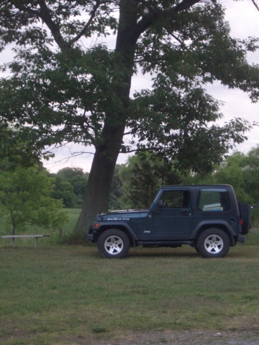 [Picture: Jeep and Tree]