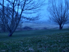 [picture: Invisible Fog 4]