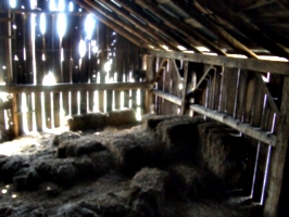 [picture: Inside an old barn 8]