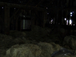 [picture: Inside an old barn 12]