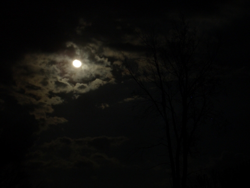 [Picture: Moons, Clouds, Tree 3]