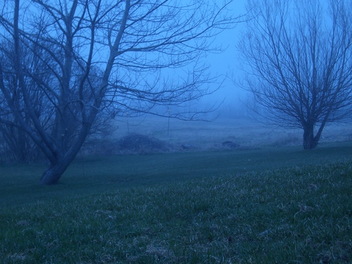 [Picture: Invisible Fog 4]