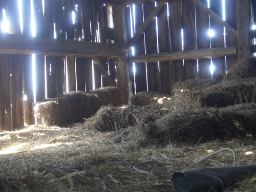 [Picture: Straw bales inside a barn]