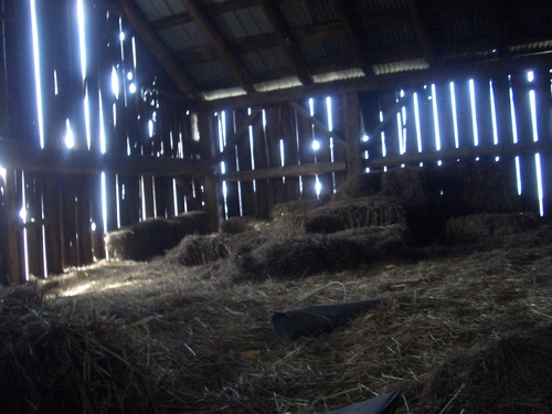 [Picture: Straw bales inside a barn 2]