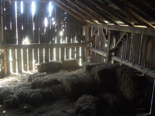 [Picture: Inside an old barn 7]