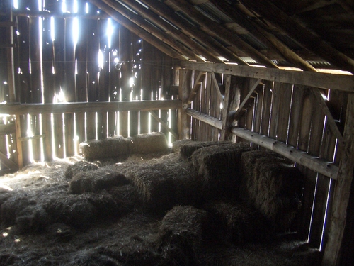 [Picture: Inside an old barn 8]