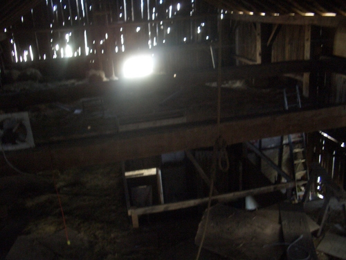 [Picture: Inside an old barn 9]