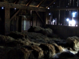 [Picture: Inside an old barn 13]
