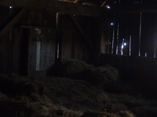 [Picture: Inside an old barn 14]