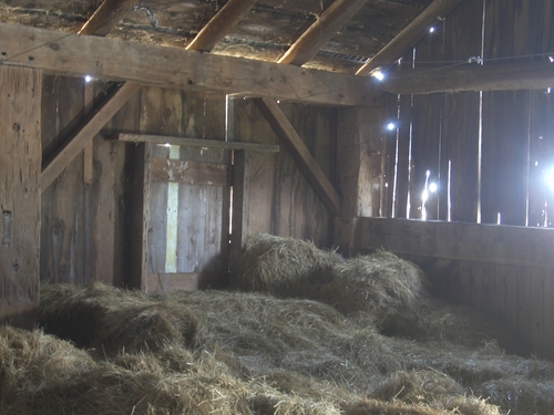 [Picture: Inside an old barn 14]
