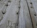[Picture: Driftwood 3: nail holes]