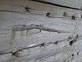 [Picture: Driftwood 4: nail holes]