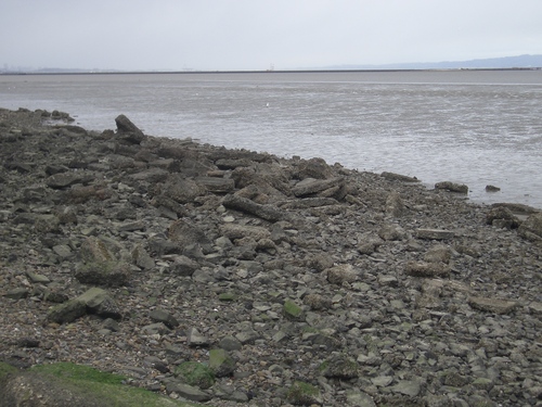 [Picture: rocks on the shore]