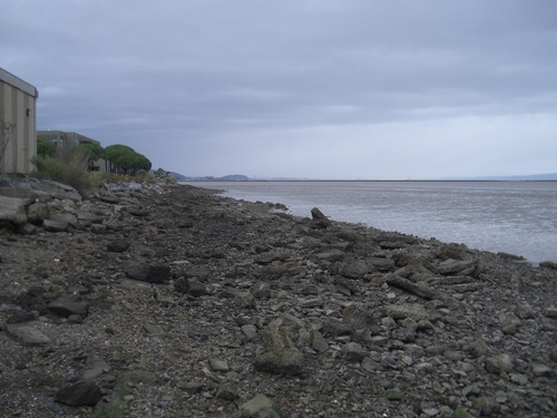 [Picture: rocks on the shore 2]