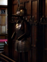 [picture: Coat of armour 2]