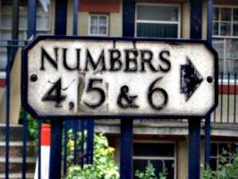 [picture: Numbers 4, 5 & 6]