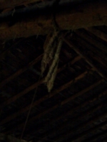 [picture: Rope in the barn 4]